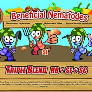 NaturesGoodGuys - Triple Blend Beneficial Nematodes HB+SC+SF (50 Million)