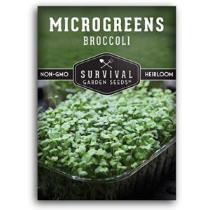 survival garden seeds broccoli microgreens for sprouting and growing – seed to sprout green leafy micro vegetable plants indoors – grow your own mini windowsill garden – non-gmo heirloom variety