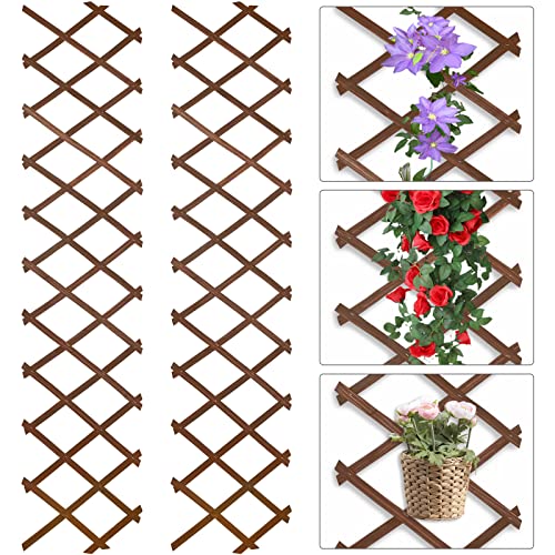 Expandable Wooden Lattice Frame - Hanging Plant Trellis Frame for Wall Climbing Plants Vines - Wall Art Freedom Lattice for Room Decor - Small Wood Fence Panel for Space Separate