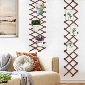 Expandable Wooden Lattice Frame - Hanging Plant Trellis Frame for Wall Climbing Plants Vines - Wall Art Freedom Lattice for Room Decor - Small Wood Fence Panel for Space Separate