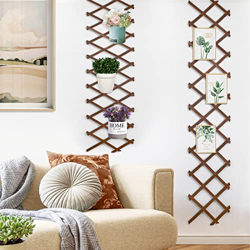 Expandable Wooden Lattice Frame - Hanging Plant Trellis Frame for Wall Climbing Plants Vines - Wall Art Freedom Lattice for Room Decor - Small Wood Fence Panel for Space Separate