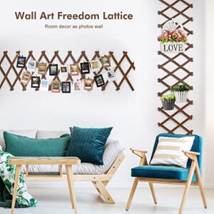 Expandable Wooden Lattice Frame - Hanging Plant Trellis Frame for Wall Climbing Plants Vines - Wall Art Freedom Lattice for Room Decor - Small Wood Fence Panel for Space Separate