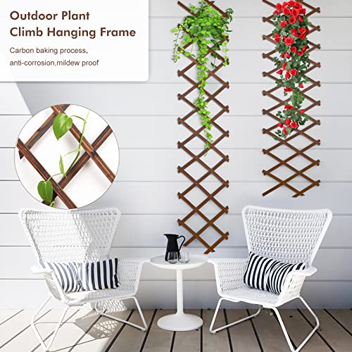 Expandable Wooden Lattice Frame - Hanging Plant Trellis Frame for Wall Climbing Plants Vines - Wall Art Freedom Lattice for Room Decor - Small Wood Fence Panel for Space Separate