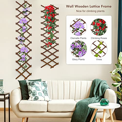 Expandable Wooden Lattice Frame - Hanging Plant Trellis Frame for Wall Climbing Plants Vines - Wall Art Freedom Lattice for Room Decor - Small Wood Fence Panel for Space Separate