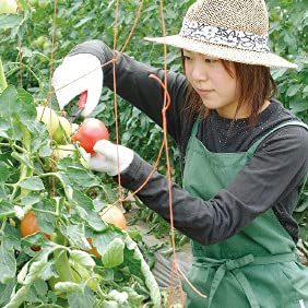 RANSHOU Garden Shears 7.2” Sharp Japanese Stainless Steel Blade, Precision Pointed Hand Garden Scissors for Trimming, Harvesting, Spring Loaded Lightweight Gardening Snips, Made in JAPAN