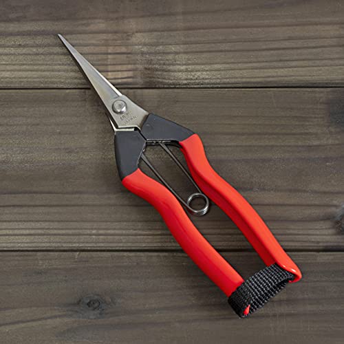 RANSHOU Garden Shears 7.2” Sharp Japanese Stainless Steel Blade, Precision Pointed Hand Garden Scissors for Trimming, Harvesting, Spring Loaded Lightweight Gardening Snips, Made in JAPAN