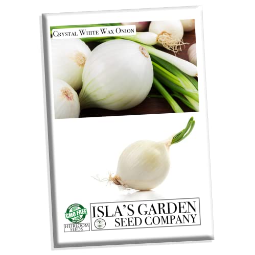 Crystal White Wax Onion Seeds, 500+ Heirloom Seeds Per Packet, (Isla's Garden Seeds), Non GMO Seeds, Botanical Name: Allium cepa