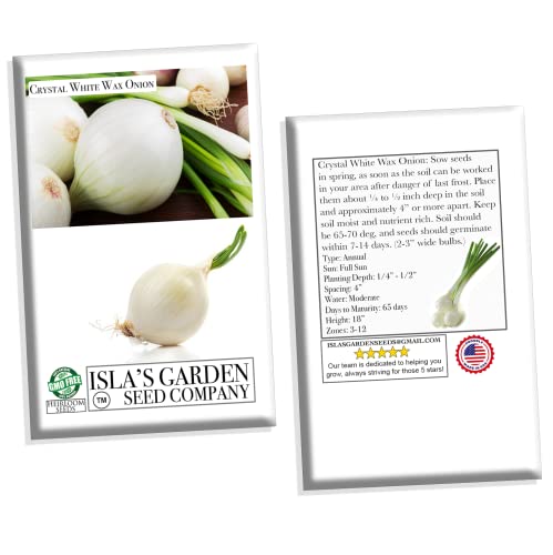 Crystal White Wax Onion Seeds, 500+ Heirloom Seeds Per Packet, (Isla's Garden Seeds), Non GMO Seeds, Botanical Name: Allium cepa