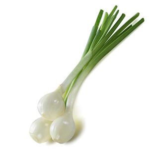 Crystal White Wax Onion Seeds, 500+ Heirloom Seeds Per Packet, (Isla's Garden Seeds), Non GMO Seeds, Botanical Name: Allium cepa