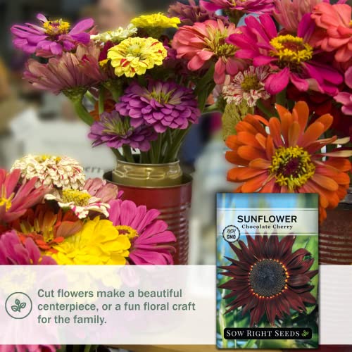 Sow Right Seeds - Chocolate Cherry Sunflower Seeds for Planting - Non-GMO Heirloom Packets with Instructions to Plant a Home Vegetable Garden (2)