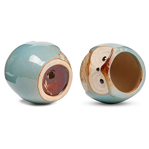 T4U 2.5 Inch Owl Ceramic Succulent Planter Pots with Drainage Hole Set of 12, Flowing Glaze Porcelain Handicraft Plant Holder Container Gift for Mom Sister Aunt Best for Home Office Garden Decoration
