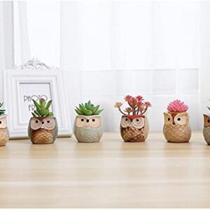 T4U 2.5 Inch Owl Ceramic Succulent Planter Pots with Drainage Hole Set of 12, Flowing Glaze Porcelain Handicraft Plant Holder Container Gift for Mom Sister Aunt Best for Home Office Garden Decoration