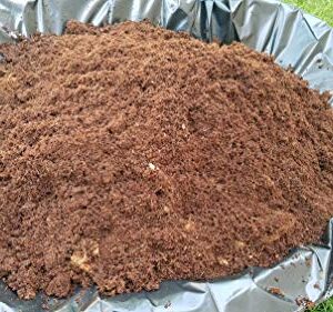 Verdana Coconut Fiber Potting Mix – 5 Lb Pack - 4x 1.25 Lb Compressed Bricks - Coco Coir, Coco Peat, Coir Pith - Alternative to Peat Moss – Soilless Growing Medium - Low EC, Optimum pH, High Expansion