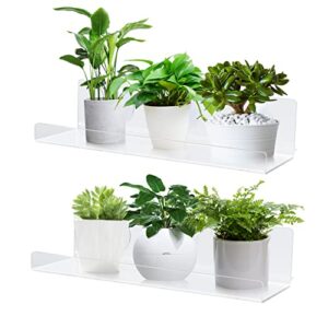 Window Shelf for Plants 12 Inch 2 Pack, Suction Cup Clear Acrylic Indoor Plant Shelf Window Ledge Garden- Window Sill Extender for Micro Greens Kit, Seed Starter Pots, Planters