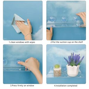 Window Shelf for Plants 12 Inch 2 Pack, Suction Cup Clear Acrylic Indoor Plant Shelf Window Ledge Garden- Window Sill Extender for Micro Greens Kit, Seed Starter Pots, Planters