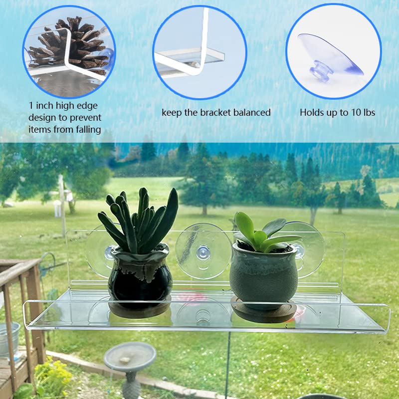Window Shelf for Plants 12 Inch 2 Pack, Suction Cup Clear Acrylic Indoor Plant Shelf Window Ledge Garden- Window Sill Extender for Micro Greens Kit, Seed Starter Pots, Planters