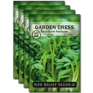 sow right seeds – cress seed for planting – all non-gmo heirloom cress seeds with full instructions for easy planting and growing your kitchen herb garden, indoor or outdoor; great gift (4 packets)