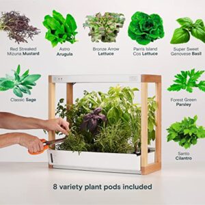 Rise Gardens Personal Garden and Starter Kit | Hydroponics Growing System, Wi-Fi & App Controlled Indoor Garden with Growing Lights & Self-Watering System | Includes 8 Seed Pods & 6 Weeks Nutrients