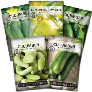 sow right seeds – cucumber seed collection for planting – armenian, pickling, lemon, beit alpha, marketmore variety pack, non-gmo heirloom seeds to grow a home vegetable garden, great gardening gift