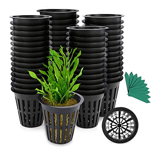 GROWNEER 100 Packs 2 Inch Garden Slotted Mesh Net Cups, Heavy Duty Net Pots with 50Pcs Plant Labels, Wide Lip Bucket Basket for Hydroponics