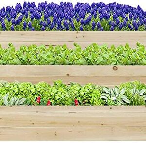 KINTNESS 3 Tier Raised Garden Bed Cedar Elevated Garden Bed Kit for Growing Vegetables Flowers Herb Box Outdoor Indoor …