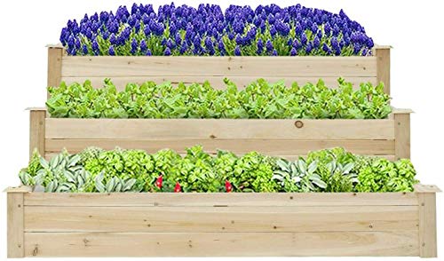KINTNESS 3 Tier Raised Garden Bed Cedar Elevated Garden Bed Kit for Growing Vegetables Flowers Herb Box Outdoor Indoor …