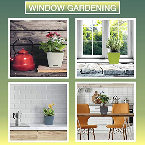 Window Garden Aquaphoric Self Watering Planter 5” and Fiber Soil, Foolproof Indoor Home Garden. Decorative Planter Pot for All Plants, Flowers, Herbs, Indoor Herb Planter