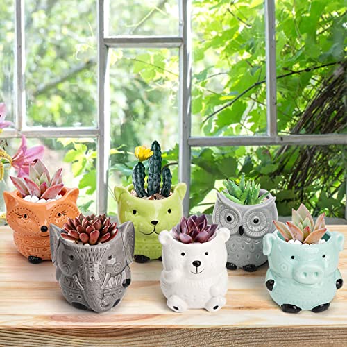 Frcctre 6 Pack Ceramic Succulent Pots, Small Succulent Planter Pots with Drainage and Bamboo Tray, Cute Animal Planting Pot Flower Pot Indoor Plant Pot for Succulent, Cactus, Garden Office Home Decor