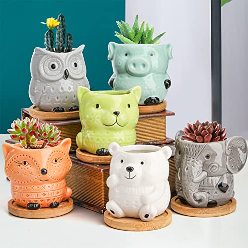 Frcctre 6 Pack Ceramic Succulent Pots, Small Succulent Planter Pots with Drainage and Bamboo Tray, Cute Animal Planting Pot Flower Pot Indoor Plant Pot for Succulent, Cactus, Garden Office Home Decor