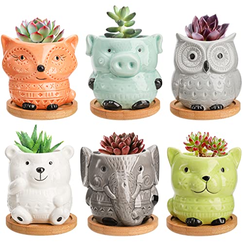 Frcctre 6 Pack Ceramic Succulent Pots, Small Succulent Planter Pots with Drainage and Bamboo Tray, Cute Animal Planting Pot Flower Pot Indoor Plant Pot for Succulent, Cactus, Garden Office Home Decor