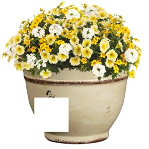 Classic Home & Garden 10512D 532R 12" Alena Planter, Vintage Ivory Enamel