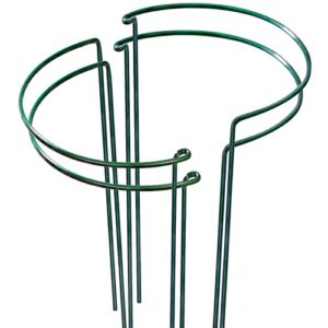leobro 4 pack plant support stake, metal garden plant stakes, peony support, tomato cage, half round plant support ring cage, plant support for tomato, rose, vine, indoor plants (9.8″ w x 15.7″ h)