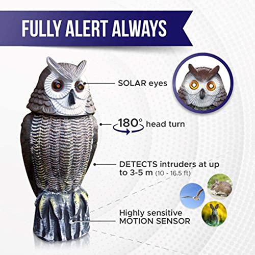 Lijo Solar Owl Animal Scarecrow – Rotating Head Owl Decoy - New & Improved Technology Waterproof 180° Rotation Light Up Eyes & Sounds Realistic Look Highly Sensitive Motion Sensor Detects Intruders