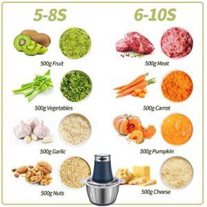 Electric Food Processor & Vegetable Chopper, 8-Cup Blender Grinder for Meat, Vegetables, Onion, Garlic, with 2L Stainless Steel Bowl and 4 Sharp Blades for Slicing, Shredding, Mincing, and Puree, 300W