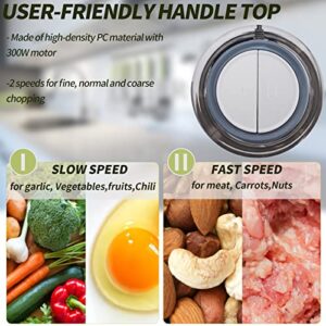 Electric Food Processor & Vegetable Chopper, 8-Cup Blender Grinder for Meat, Vegetables, Onion, Garlic, with 2L Stainless Steel Bowl and 4 Sharp Blades for Slicing, Shredding, Mincing, and Puree, 300W