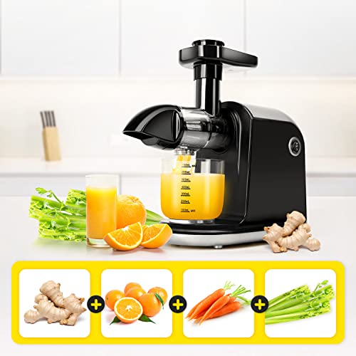 Juicer Machines, Taylor Swoden Slow Masticating Juicer with Reverse Function & Quiet Motor, Cold Press Juicer Machine with High Juice Output, Juicer Extractor Easy to Clean, include Brush & Recipes