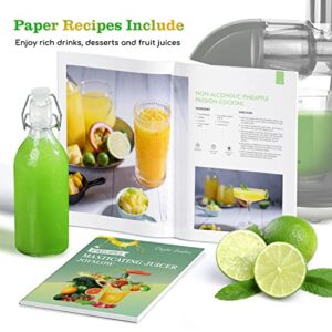 Juicer Machines, Taylor Swoden Slow Masticating Juicer with Reverse Function & Quiet Motor, Cold Press Juicer Machine with High Juice Output, Juicer Extractor Easy to Clean, include Brush & Recipes