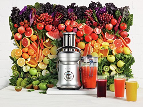 Breville Juice Founatin Cold XL Juicer, Brushed Stainless Steel, BJE830BSS