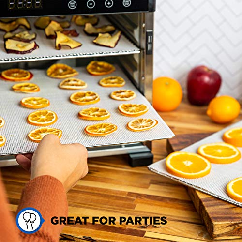 Silicone Dehydrator Sheets (6 Pack) - Jerky, Fruit - Food Dehydrator Sheets for Dehydrators for Food and Jerky like Excalibur Food Dehydrator Accessories, Cosori Dehydrator and Magic Mill Dehydrator - Fine Mesh Dehydrator Trays