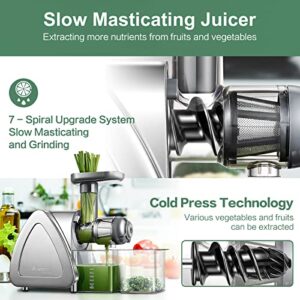 Cold Press Juicer, Aobosi Slow Masticating Juicer Machines with Reverse Function, Quiet Motor, High Juice Yield with Juice Jug & Brush for Cleaning, Gray