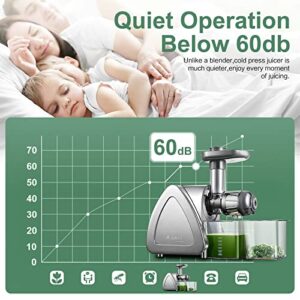 Cold Press Juicer, Aobosi Slow Masticating Juicer Machines with Reverse Function, Quiet Motor, High Juice Yield with Juice Jug & Brush for Cleaning, Gray