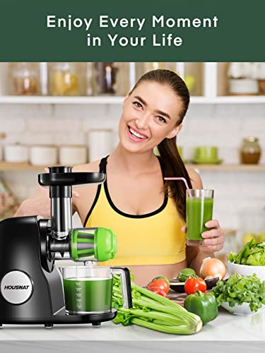 Juicer Machines, HOUSNAT Professional Celery Slow Masticating Juicer Extractor Easy to Clean, Cold Press Juicer with Quiet Motor and Reverse Function for Fruit & Vegetable, Brushes & Recipes Included, Black