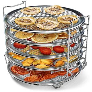 Dehydrator Rack for 8 qt Instant Pot Air Fryer Lid, Instant Pot Vortex 10 qt Air Fryer Oven, Compatible Instant Pot Accessories Air Fryer Dehydrator Rack