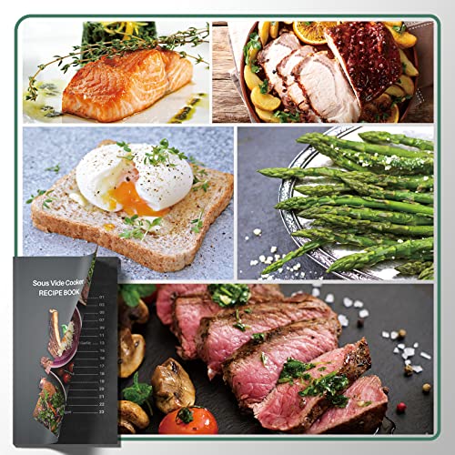 Mecity Sous Vide Precision Cooker Machine 1100W Water Bath Cooking Steak Vegetable Meat Fish 0.5 Degrees Accuracy Immersion Circulator with Recipes