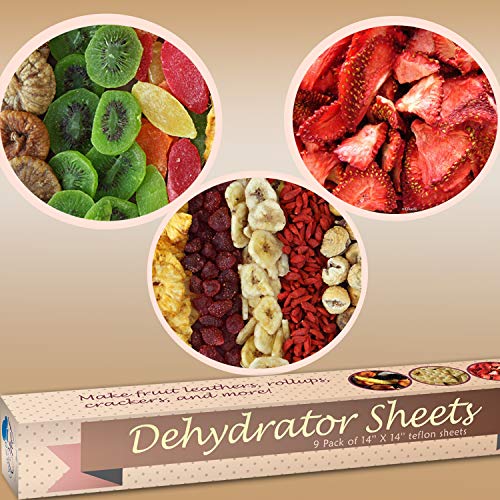 Chuzy Chef Set of 9 Dehydrator Sheets - Baking Mat Teflon Dehydrator Sheet - 14'' X 14'' Food Dehydrator Tray Liners Non Stick Sheets Baking Mat Food Dryer Sheet For Excalibur