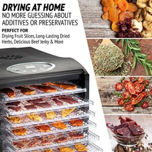 Ivation 9 Tray Countertop Digital Food Dehydrator Drying Machine 600w with Preset Temperature Settings, Auto Shutoff Timer and Even Heat Circulation for Beef Jerky, Fruits, Vegetables & Nuts