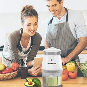 Food Processor - Cordless Mini Food Chopper Electric 200-Watt Small Food Processor & Vegetable Chopper 2.5 Cup 20 Oz Glass Bowl with Scraper for Blending, Mincing and Meal Preparation