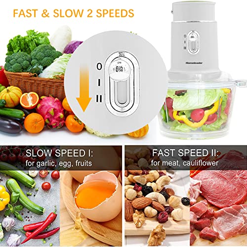 Homeleader Electric Food Chopper - Blender and Food Processor Combo, 3 in 1 Food Grinder Electric for Meat, Vegetables, Fruits, Coffee, 8 Cup Glass Bowl with 2 Speeds and 4 Stainless Steel Blades, Coffee Grinder, Meat Chopper