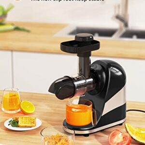 Wamife Slow Masticating Juicer Machine, Cold Press Juicer Extractor, 2 Modes & Reverse Function for High Nutrient Fruit & Vegetable Juice, Quiet Motor, with Cup & Brush(Black)