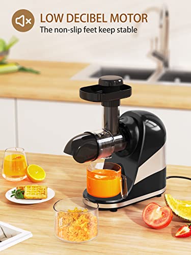 Wamife Slow Masticating Juicer Machine, Cold Press Juicer Extractor, 2 Modes & Reverse Function for High Nutrient Fruit & Vegetable Juice, Quiet Motor, with Cup & Brush(Black)